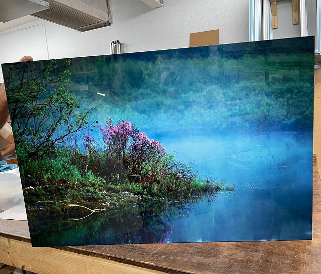 nature-themed metal photo print