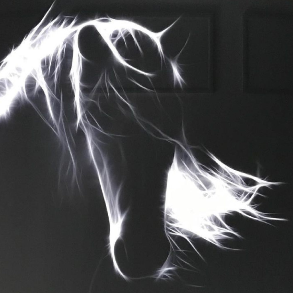 black and white metal print of a horse