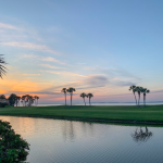 a wide shot of a stretch of water and grass with pine trees and a sunset in the distance